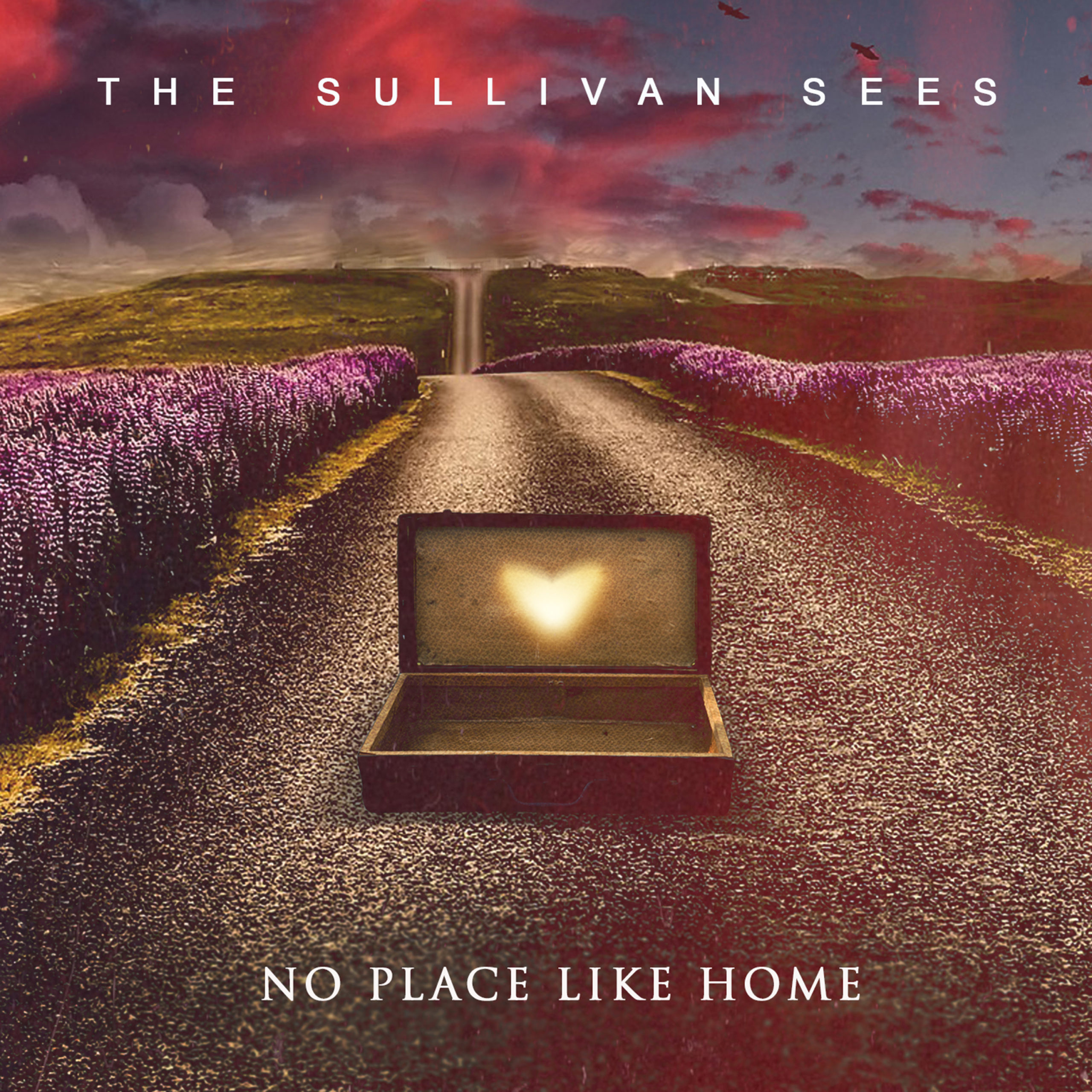 No Place Like Home - Sleeve picture